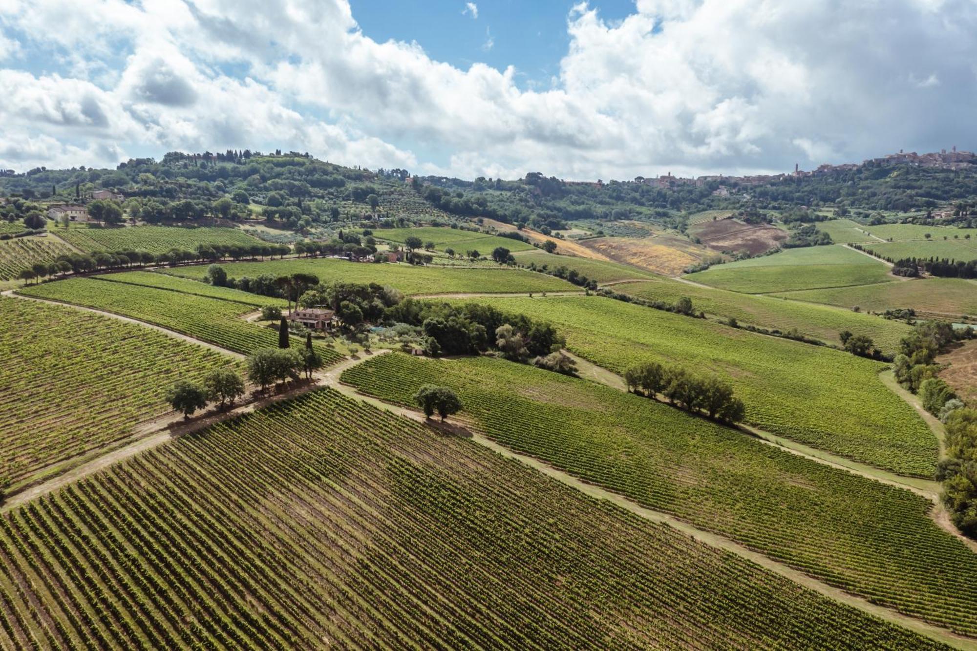 Villa Talosa Montepulciano Stazione Esterno foto